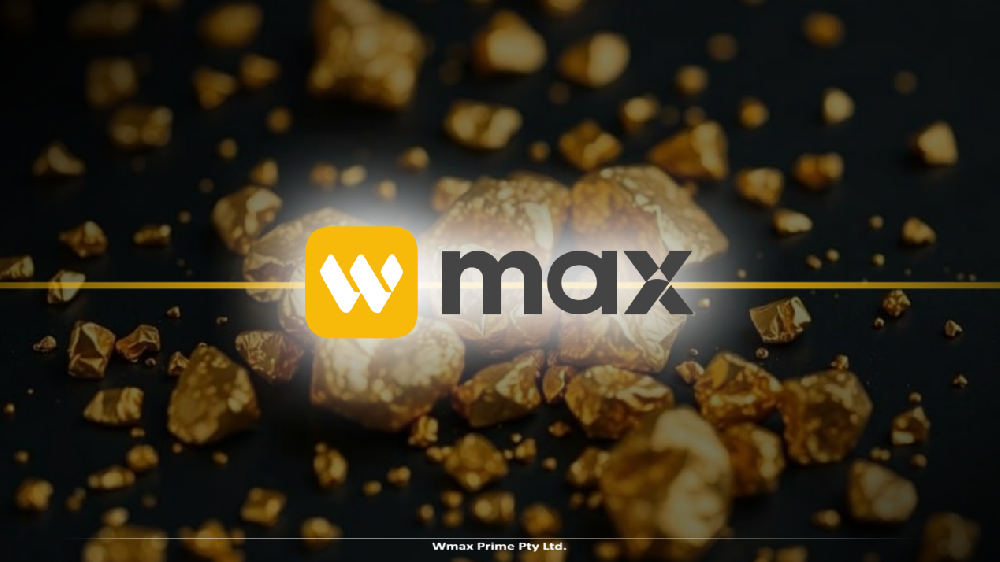 知行合一的困局：WMAX带你识破大脑的交易骗局