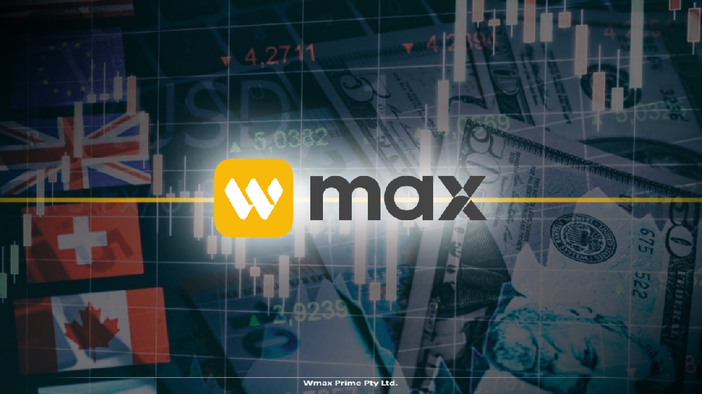 逆向思维的艺术：WMAX教你如何在市场恐慌中挖掘“冷门高手”