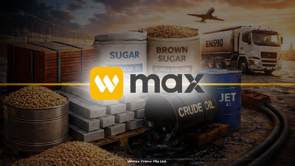 筑牢认知地基，WMAX的教育、风控与跟单如何守护交易之路